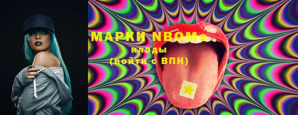 стаф Верея