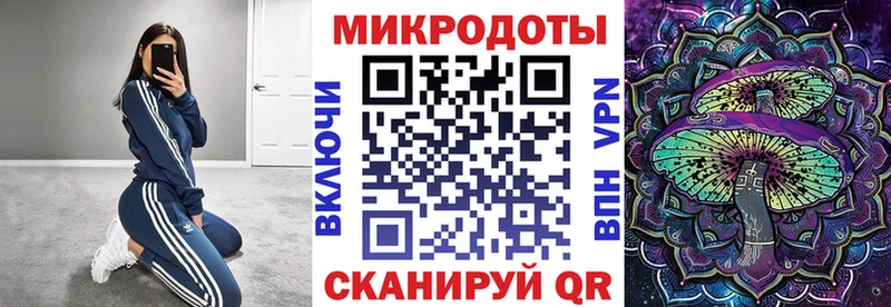 как найти наркотики  Кирс  Галлюциногенные грибы прущие грибы 